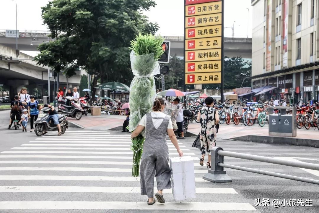 成都参加变形计的少年,变形计有哪些成都的