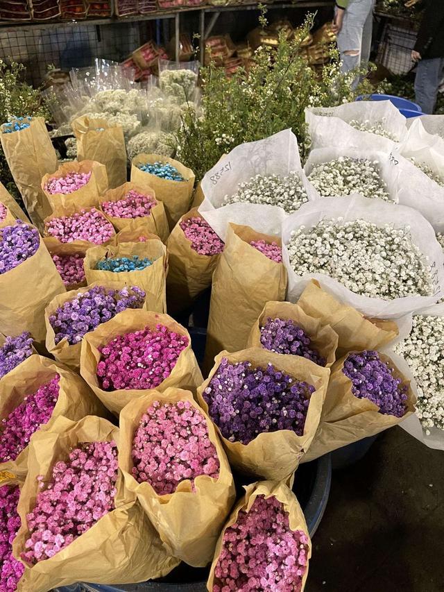 成都最值得逛的花卉市场,成都可以逛的花市