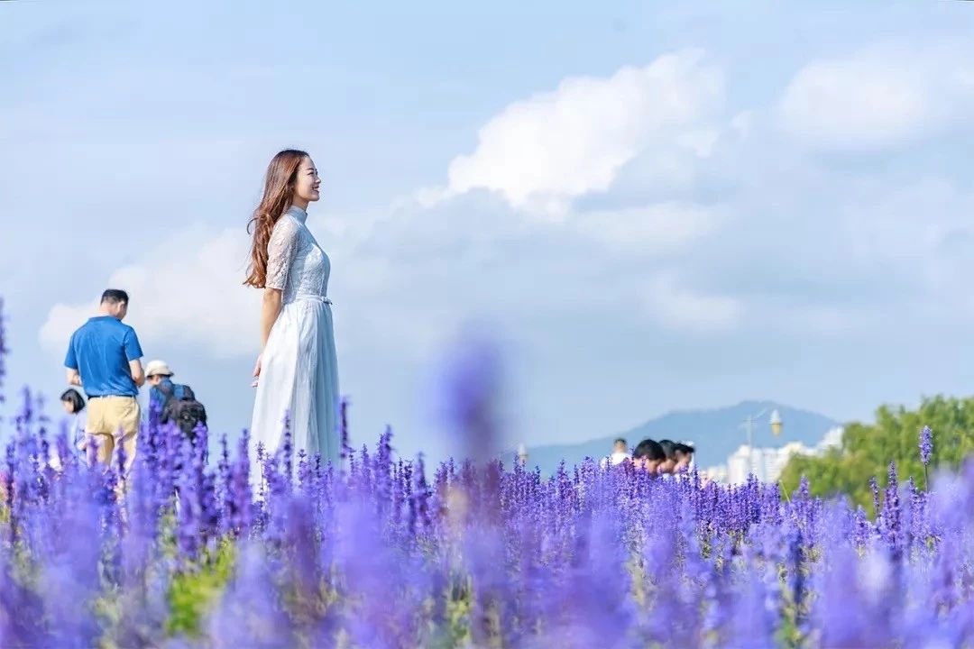 深圳游玩最佳地点排行榜前十名,深圳适合小孩游玩最佳地方推荐