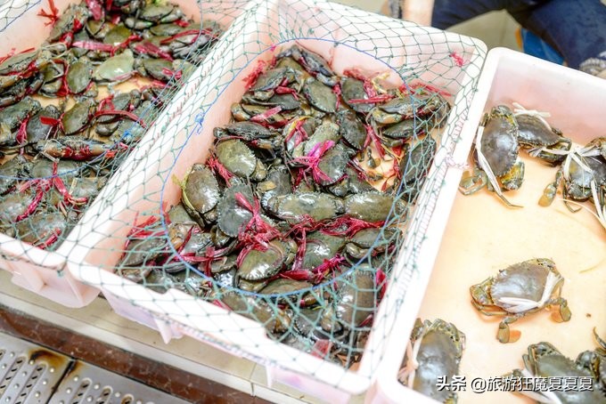 在三亚感受亚龙湾的惬意,三亚亚龙湾热带雨林美景