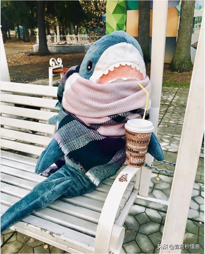 宜家小鲨鱼,为什么宜家鲨鱼火了