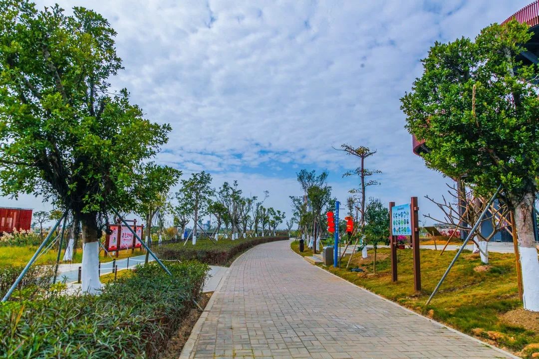 珠海哪里最值得去旅游,珠海哪里旅游比较值得去