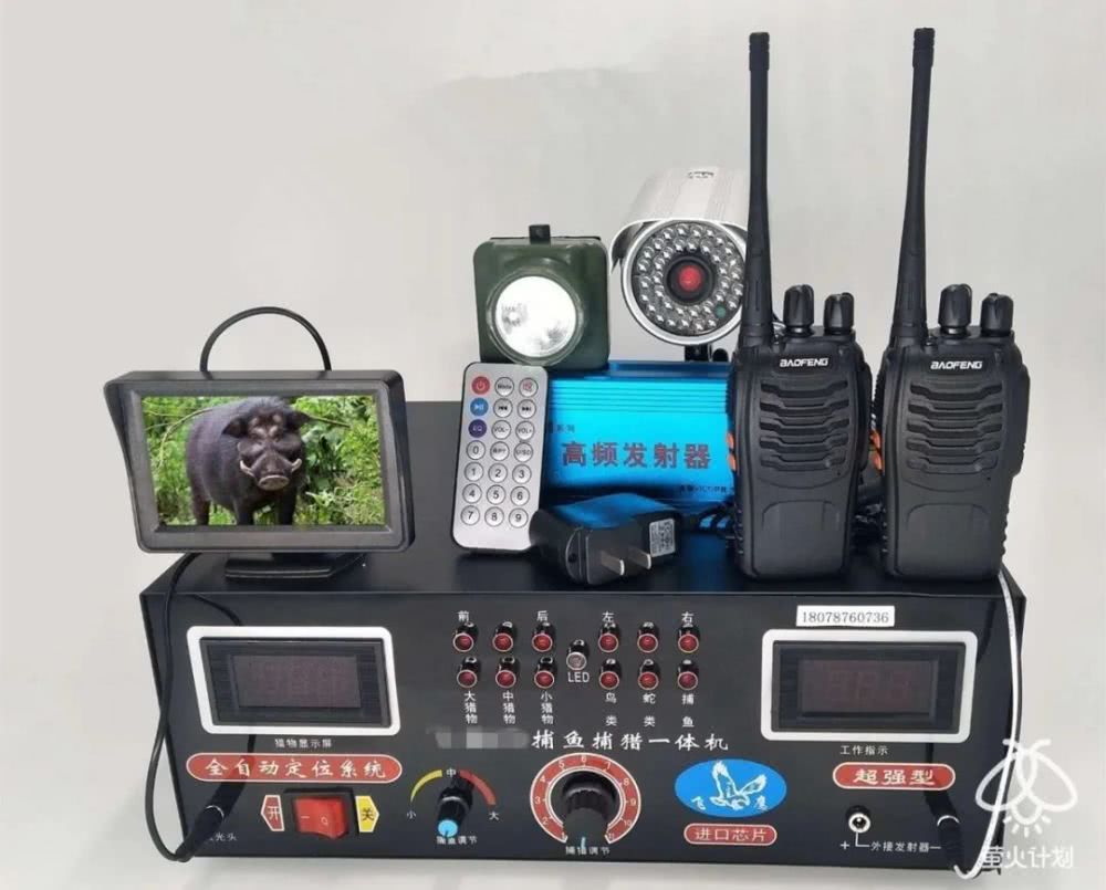 杀穿山甲时，下面会有一碗白米饭接着留下来的血|野味帝国