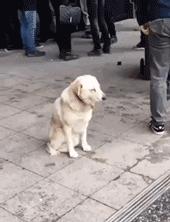 闺蜜生日送蛋糕还是送礼物呢,闺蜜过生日给他送什么零食好呢