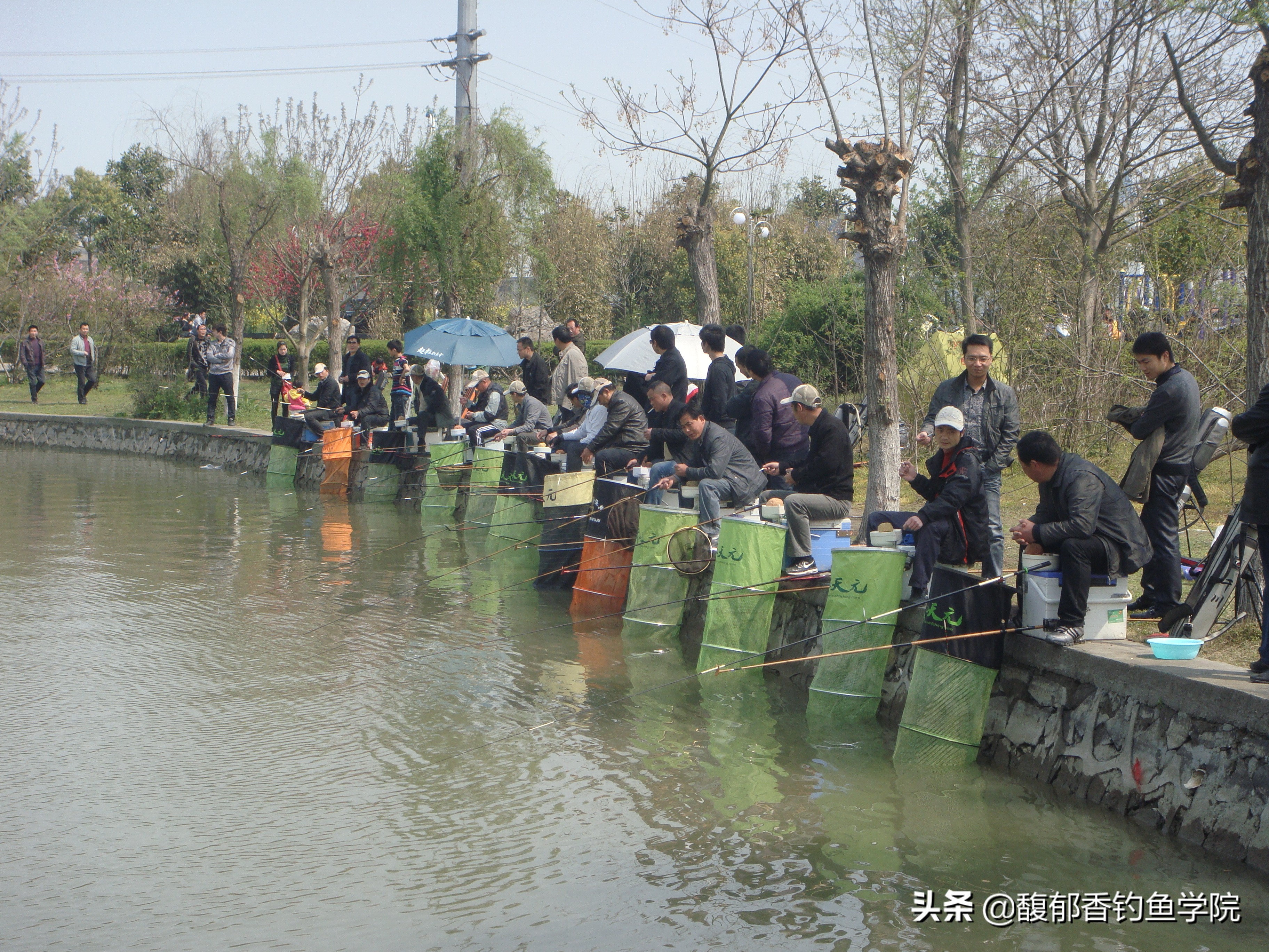 各类钓鱼小药的使用方法及效果,钓鱼小药常识确保正确使用