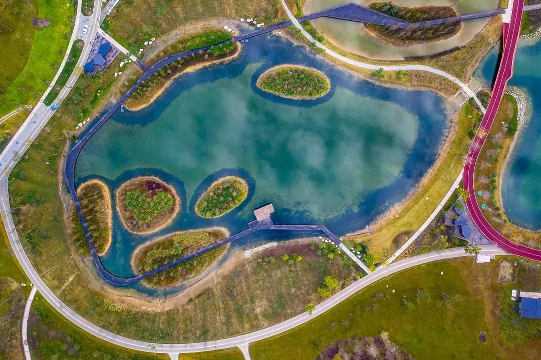 宛若美人卧成都,江家艺苑了解一下