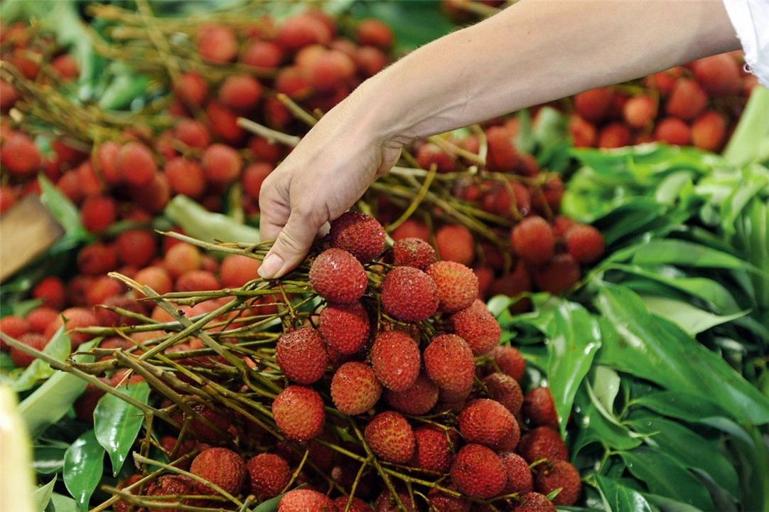 杨贵妃吃的荔枝从什么地方来,杨贵妃吃的荔枝产自哪里