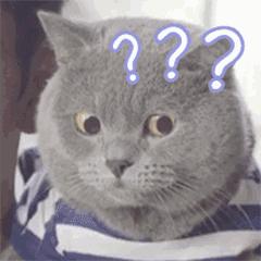 被仓鼠咬伤之后需要打疫苗吗,被仓鼠咬伤抓伤出血要打疫苗吗