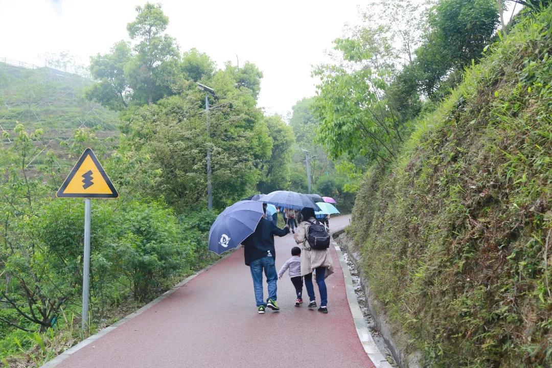 福建人游福建|厦航国旅首发团，邀您一起共赏好*光春**