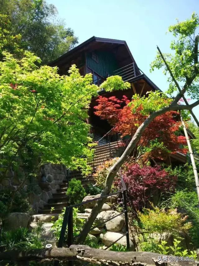 为一姑娘，10年他把30亩荒地打造成梦想家园，让人懂得真爱的意义