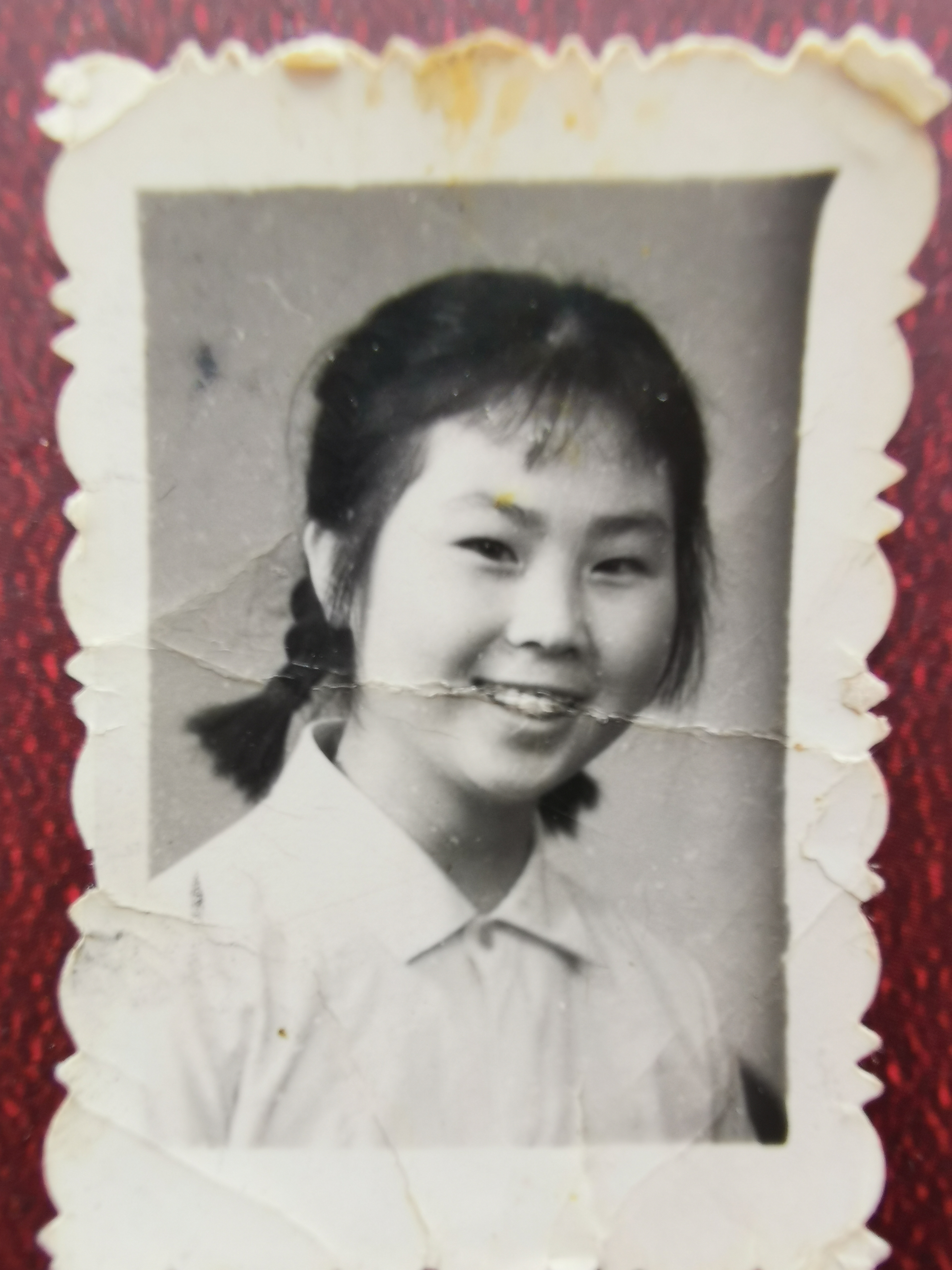 已走过的路无需回头看,已走过的路回不去