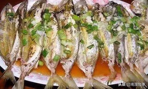 深圳南澳都有哪些海鱼,南澳海常见的海鱼