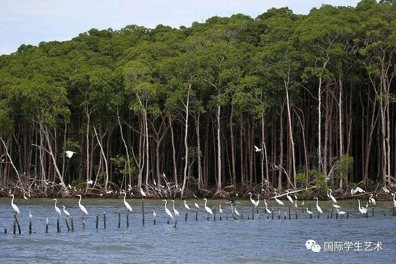 2050美国科技大赛,美国科学无国界挑战赛