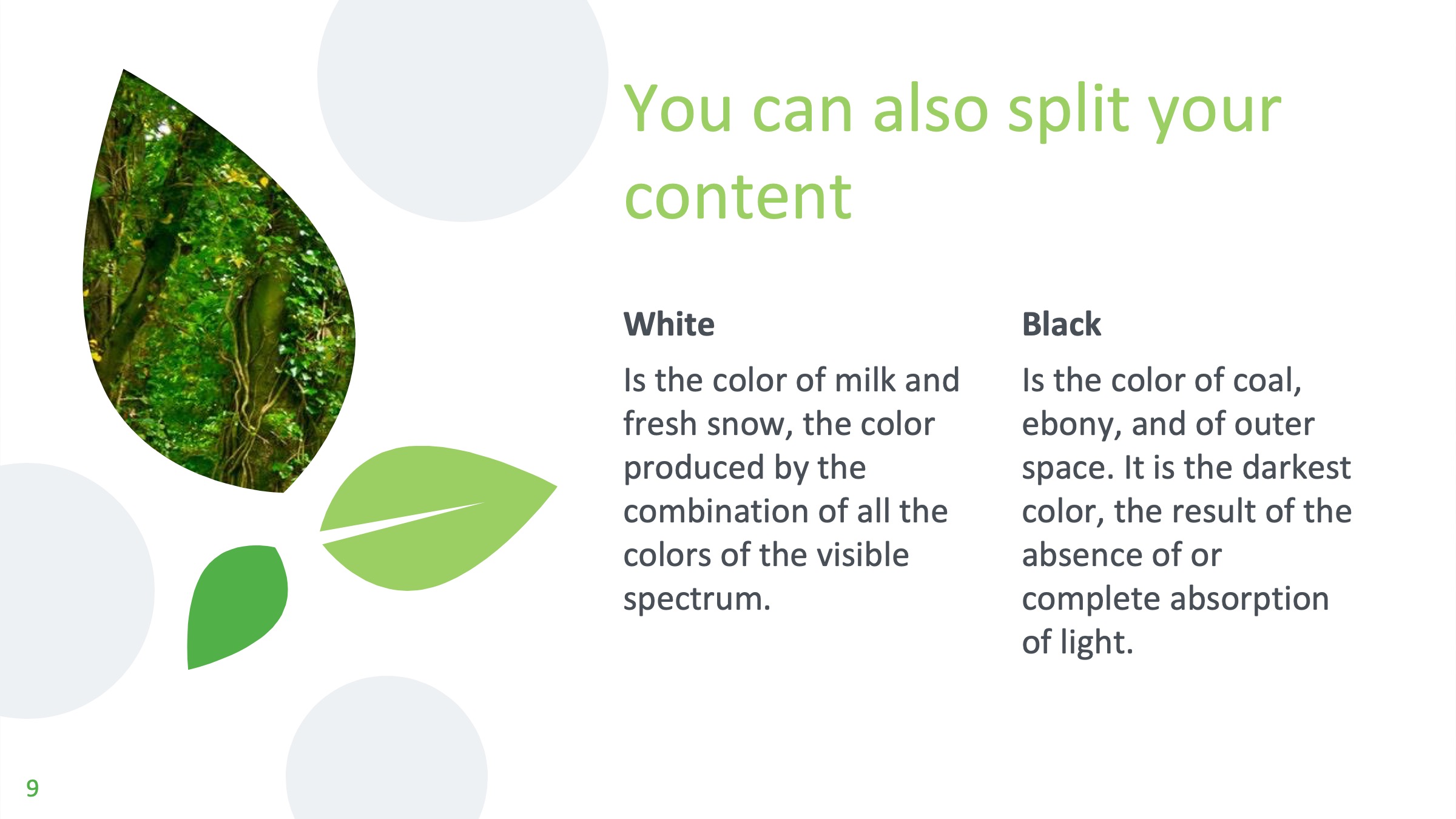 鍏充簬妞嶇墿涓婚鐨刾pt妯℃澘,妞嶇墿ppt楂樼骇灏侀潰