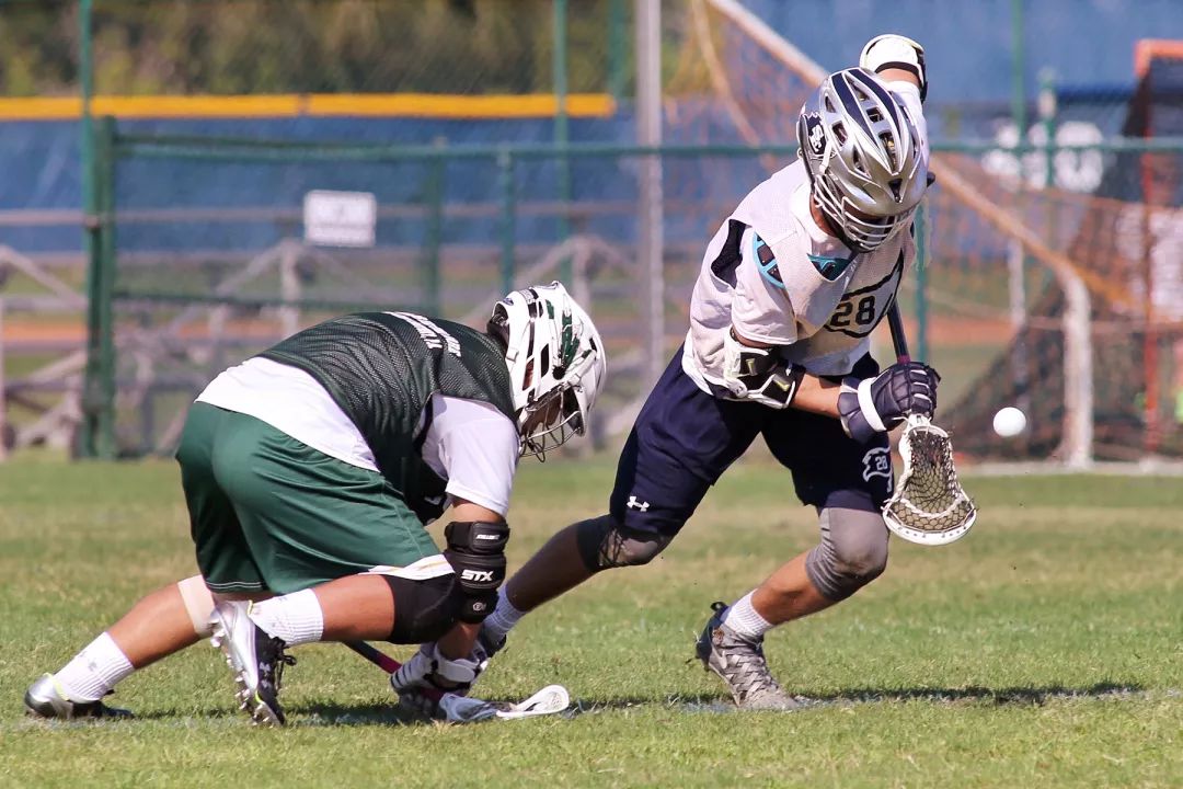 这些学校“都挺好”,新绿洲硅谷优质学校,录取迅速,住家优质!