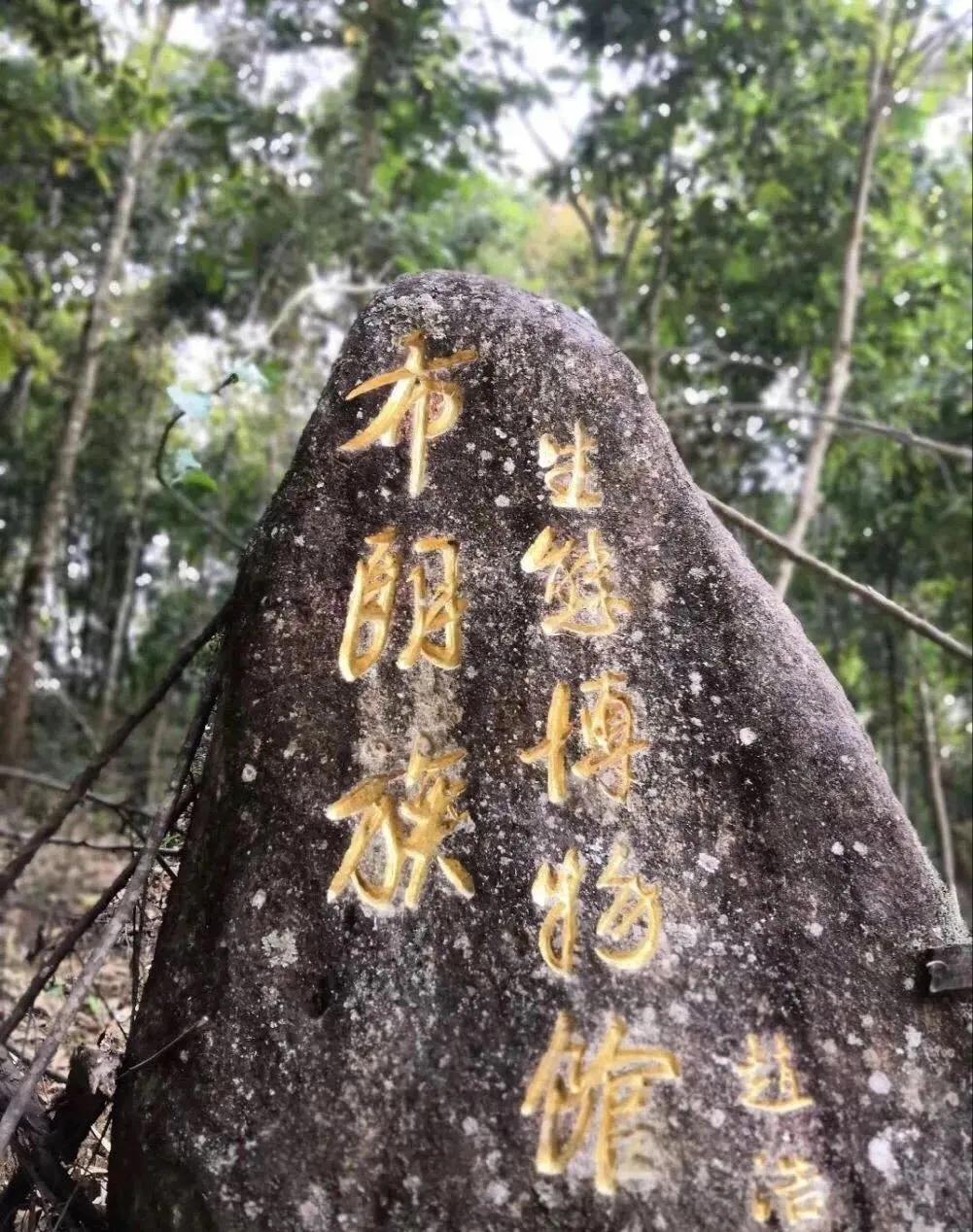 每个人心中都有一个西双版纳,西双版纳最吸引你的是什么