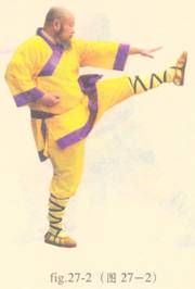 少林护心意门拳全套演示,少林拳长护心意门拳介绍