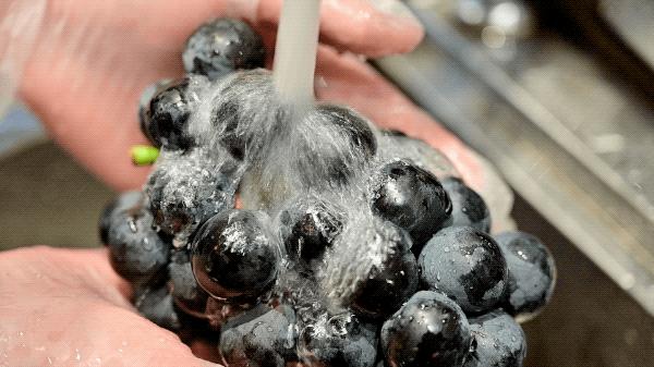 茶饮界“SK-II”，仙女们的福音，网红都常来打卡