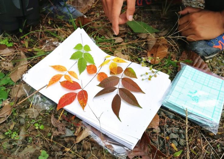 他叫辛巴,不是狮子王,8岁穿越12国:最好的教育,永远在路上