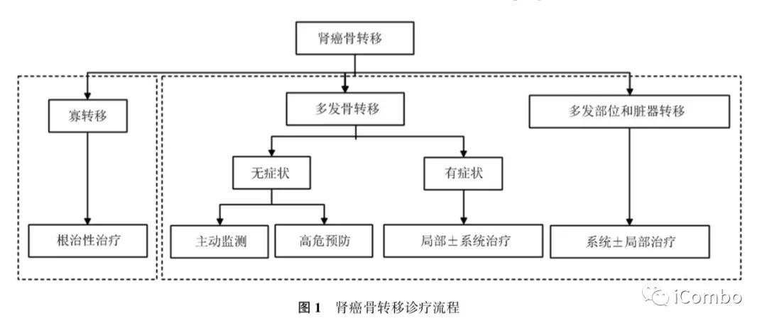 肾癌369例临床分析,恶性肾癌中晚期治疗方案