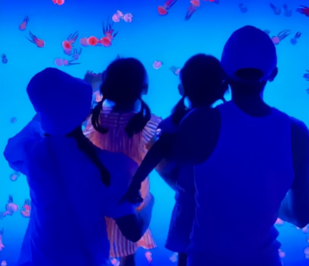 谢娜陪张杰去缝针,谢娜陪张杰去缝针视频