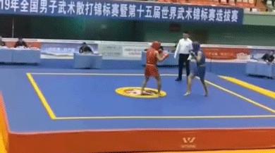 散打介绍简短文字,散打文章