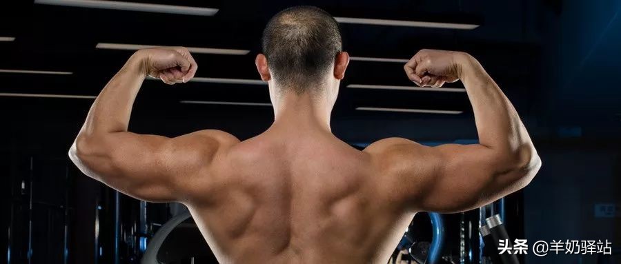 瘦子如何增重增肥但又不胖,怎么让一个瘦子快速胖起来