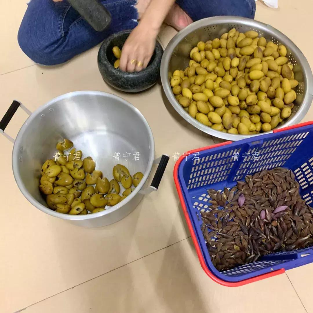 潮汕橄榄菜的制作方法视频,潮汕橄榄菜的制作方法