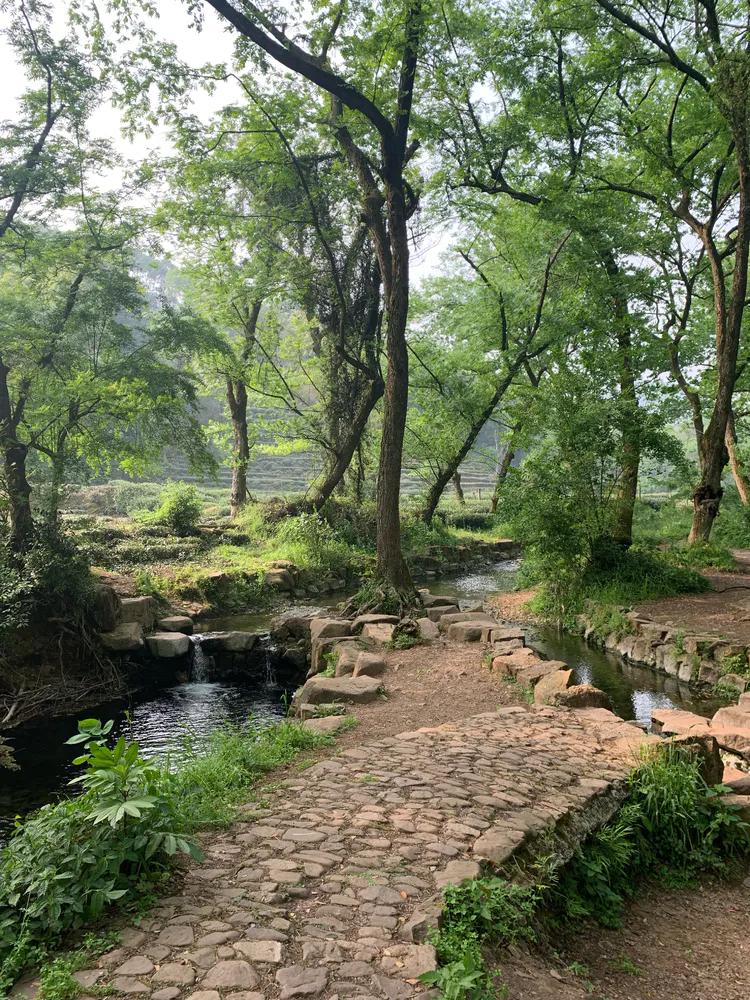 龙井村九溪十八涧徒步最佳路线图,九溪十八涧只有龙井村一个出口吗