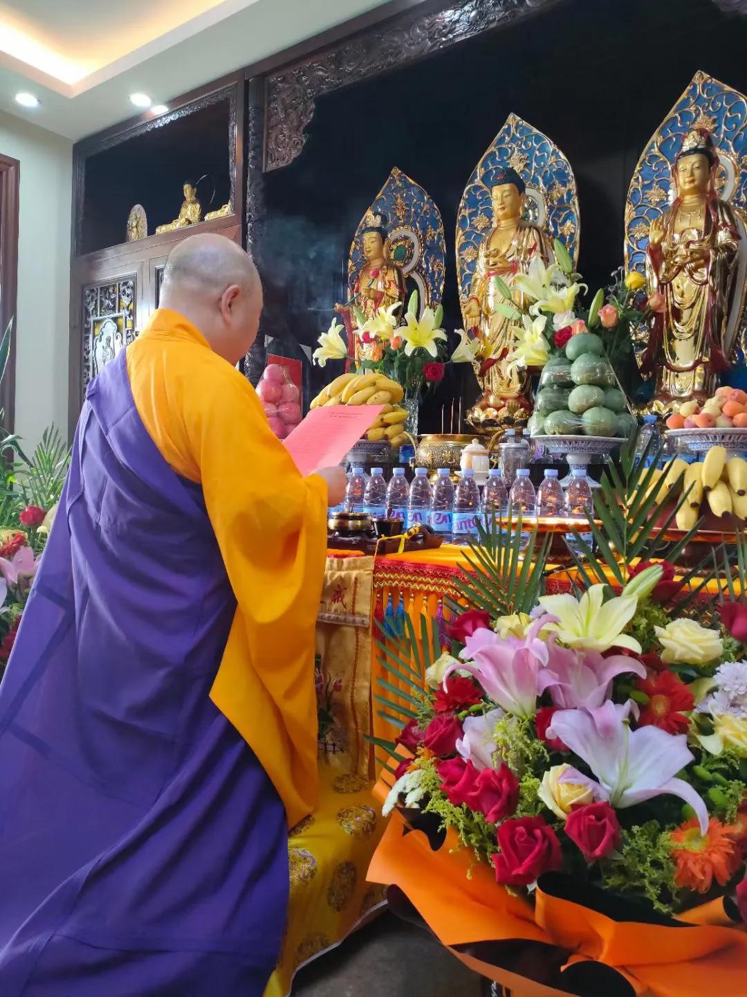 粗犷的黄瓜,坚韧的黄瓜