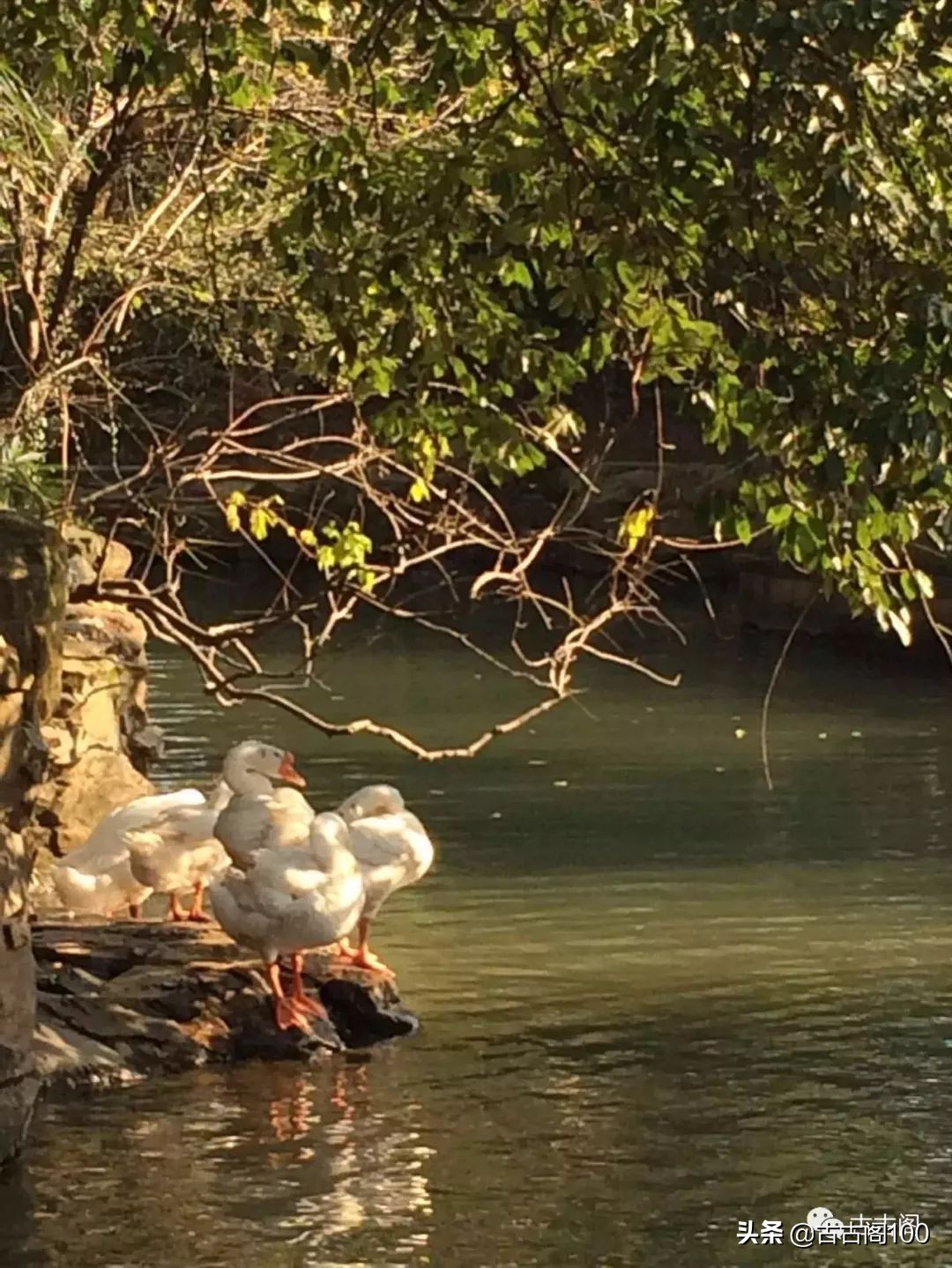 与兰亭对应的书法圣地,兰亭书法纪念馆