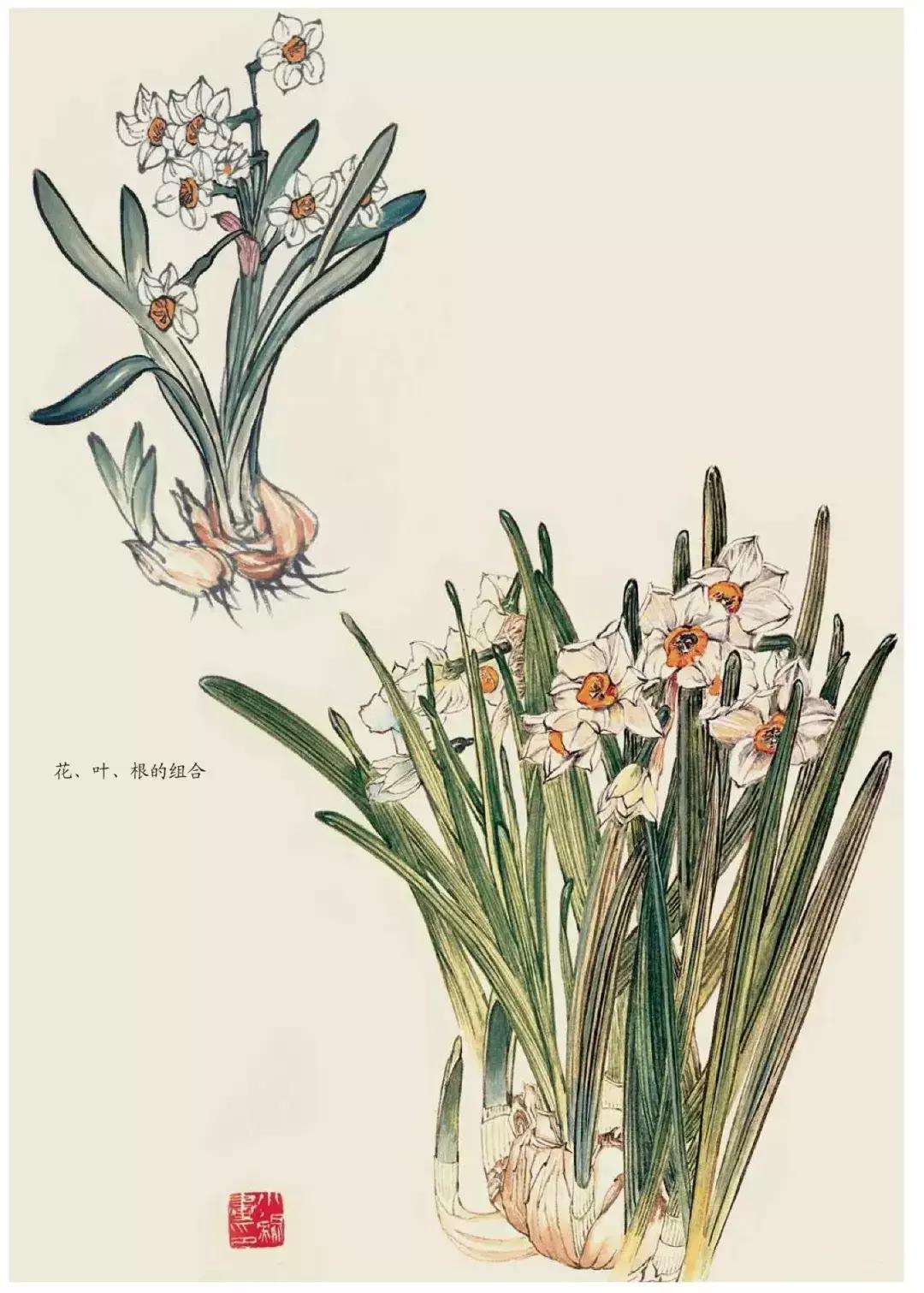 国画团扇花卉画法,国画中常见花卉的画法