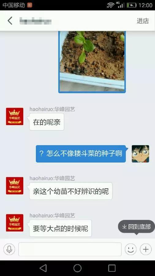 宿迁神苗是真的吗,宿迁的苗木为什么叫神苗