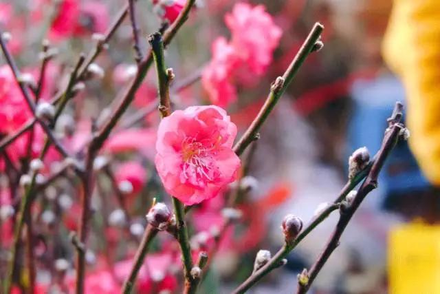 10个幽默小笑话最新,古代笑话经典短句大全