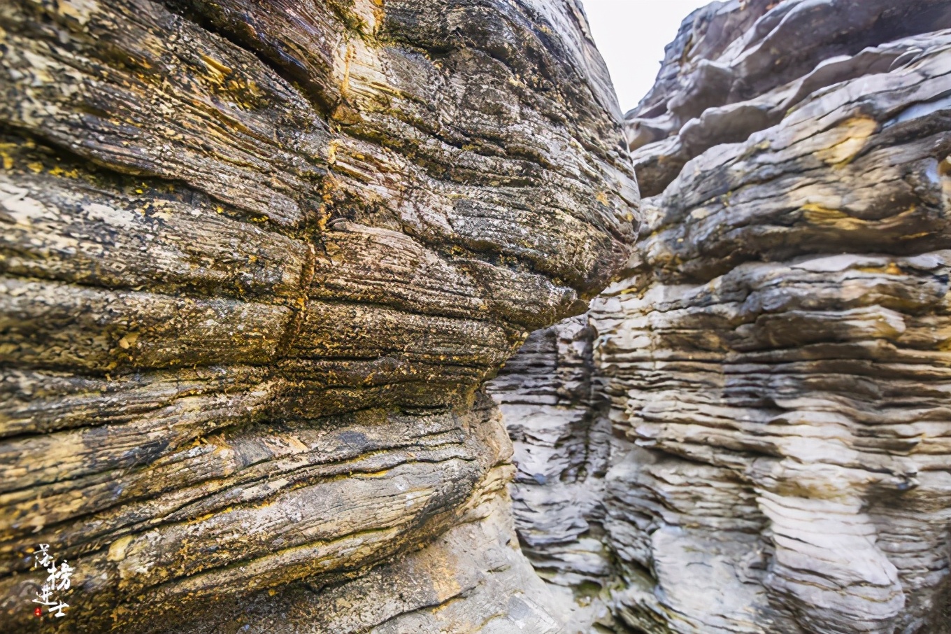 黄山西递古村落景点简介,黄山市西递古村落图片