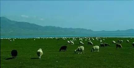 你不知道的新疆的魅力,你不知道的新疆三十道弯