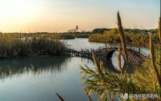 苏州常熟沙家浜攻略七日游,沙家浜夜游旅游攻略大全