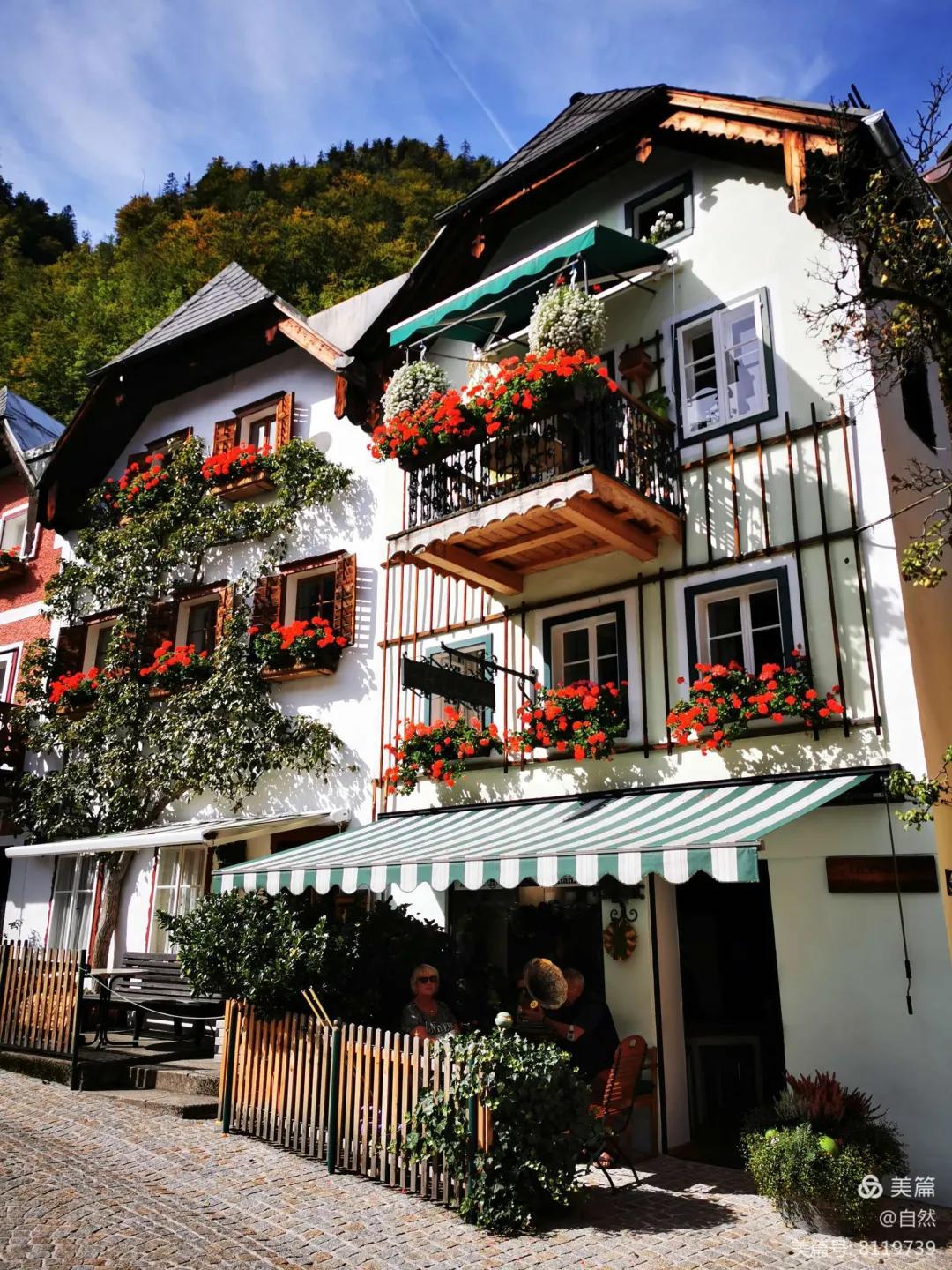 东北花园四季开花植物,北方一年四季都开花的花园