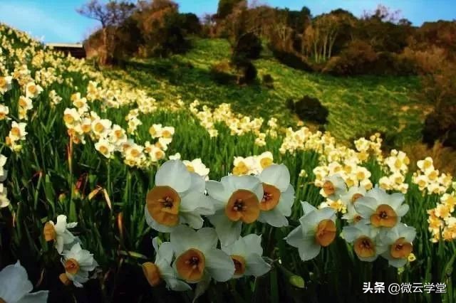 愚人节的由来与习俗