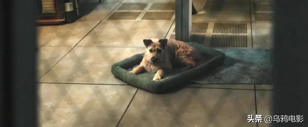 一部被低估的科幻电影末日,现在最火的末日片有哪些