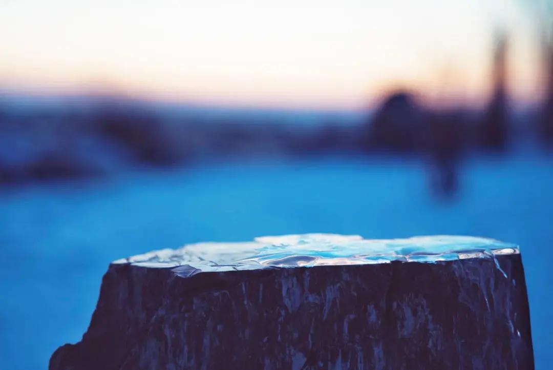 初见长春,第一次雾凇之旅不虚此行