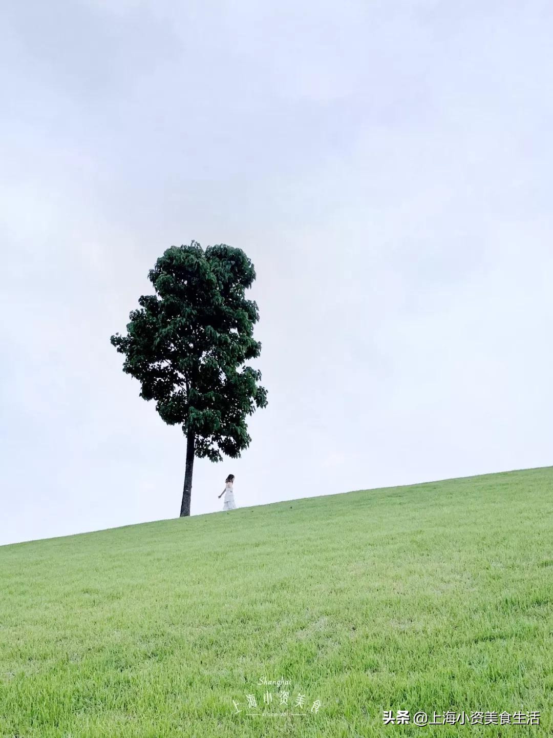 全世界十大网红打卡圣地,上海魔都网红打卡地写真