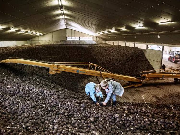 这样的农业,多忙也要抽时间去看看