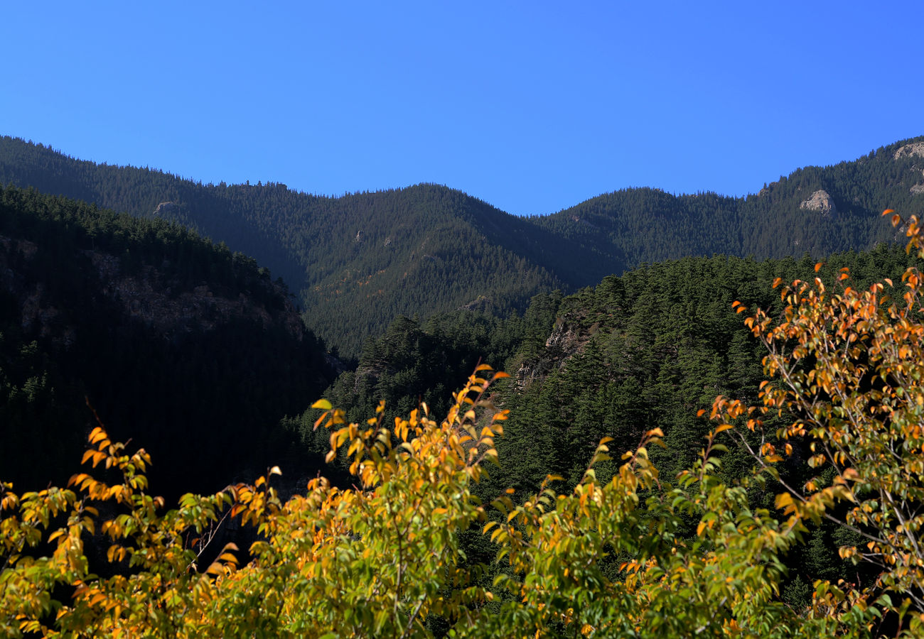 银川周末去哪儿玩,银川有什么旅游景点可以去的