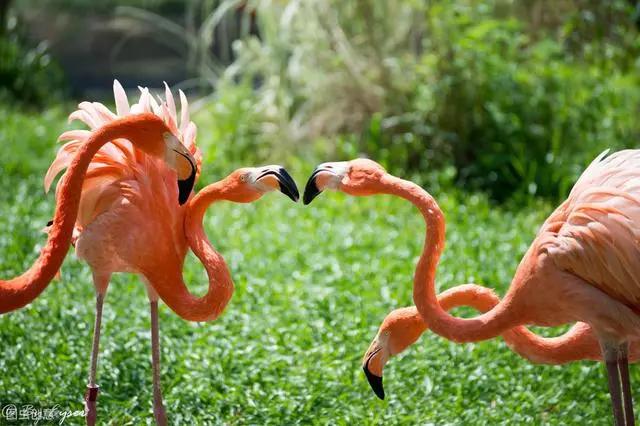 上海被称为魔都始于什么,魔都上海帝都北京还有什么