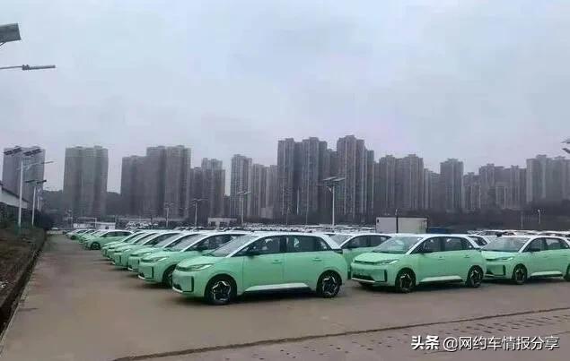 滴滴d1申请,滴滴d1怎么预约