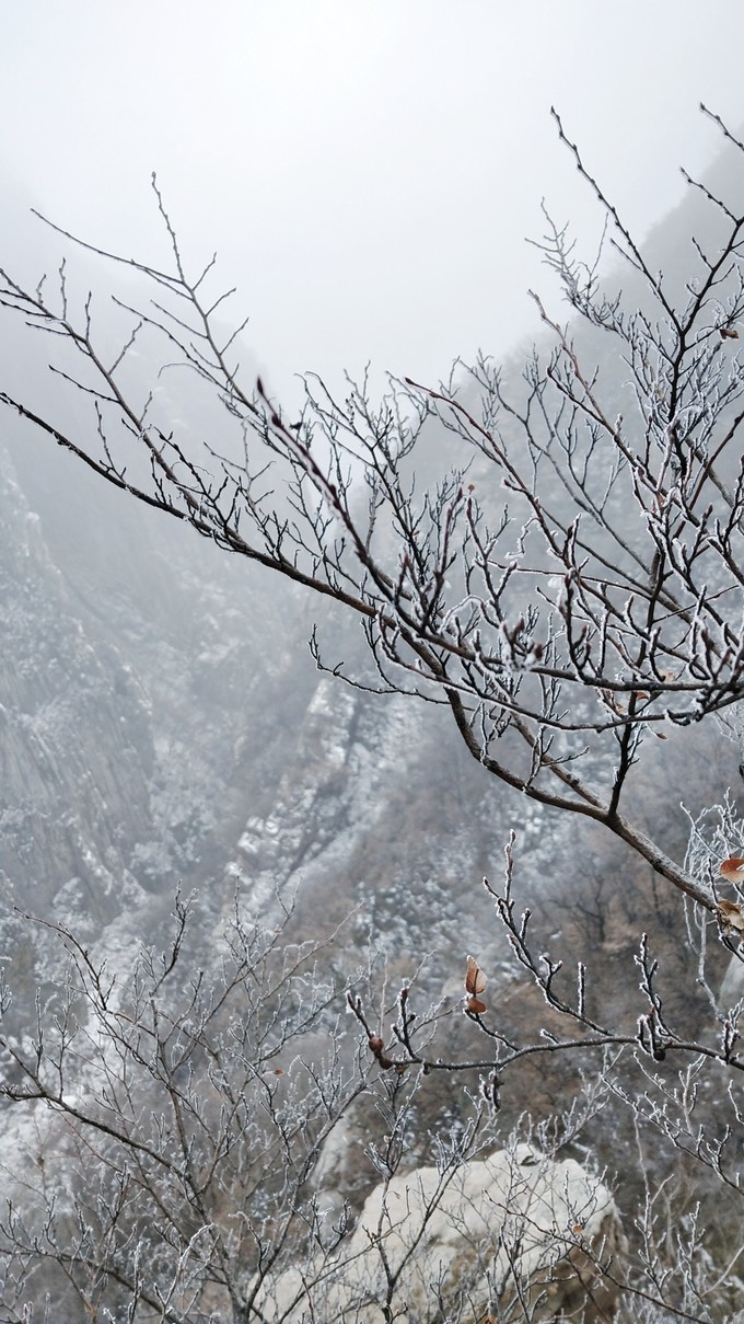 嵩山少林寺三皇寨视频,嵩山少林寺和三皇寨路线