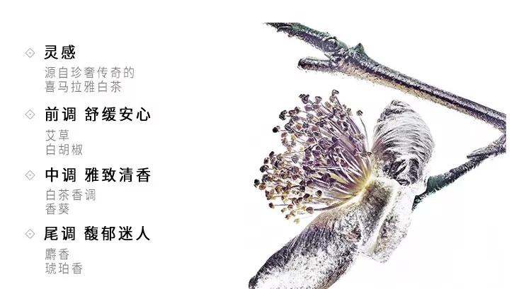 妈妈，就是它们盘走了我的压岁钱！5款提升品味不烂大街的香水