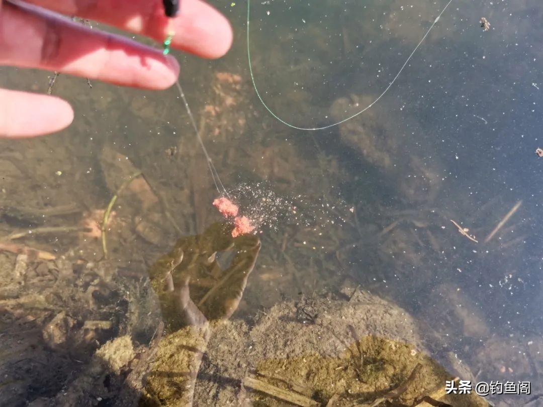 饵料里拉丝粉太多怎么办,饵料中拉丝粉多了怎么处理