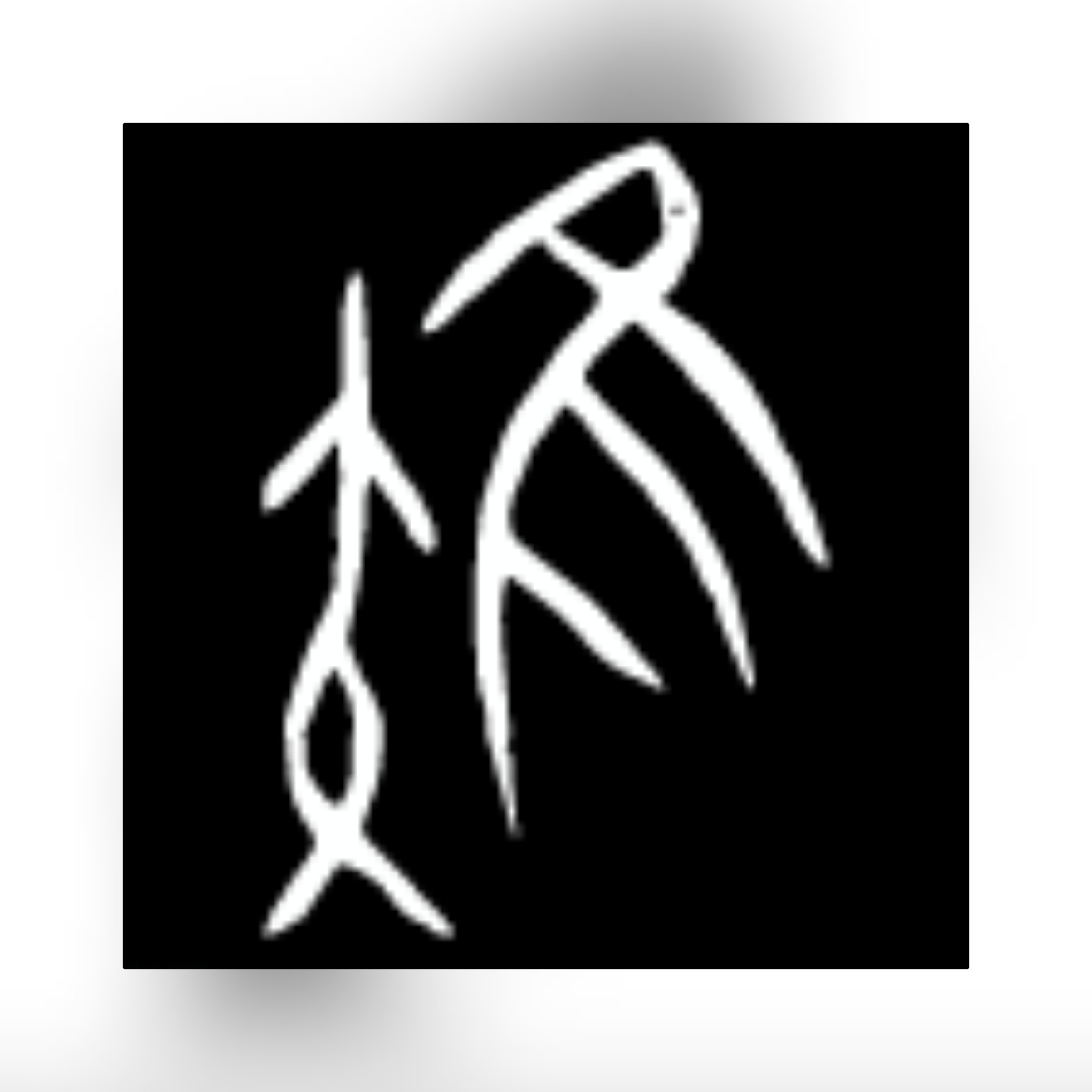 汉语中的音节什么意思,汉语中的音节是指